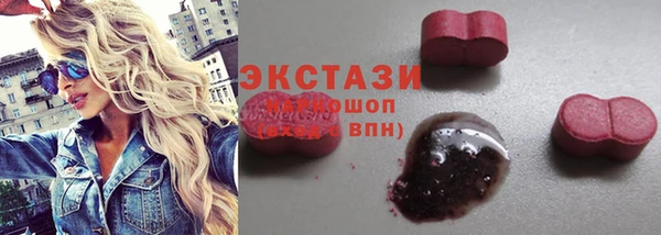 стаф Аркадак