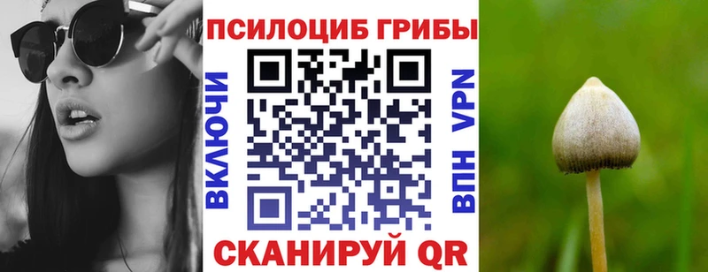 Псилоцибиновые грибы Psilocybine cubensis  Старая Русса 